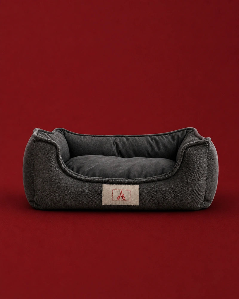 Panier pour chien